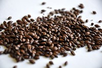 Chocolate (British)